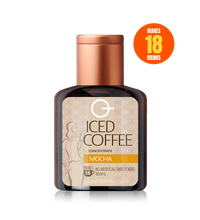 Iced Coffee - Mocha 360mL