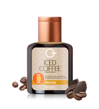Iced Coffee - Mocha 360mL